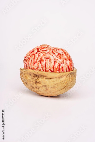 Obraz Walnut with bloody brain