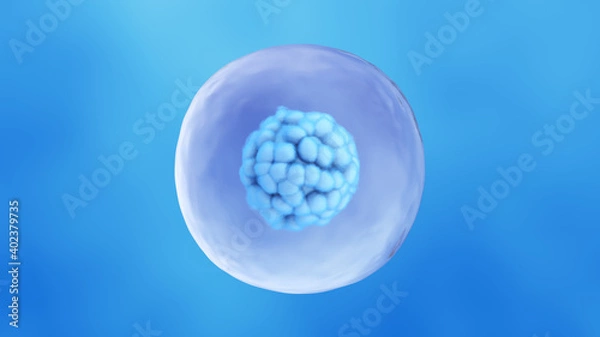 Fototapeta Human Stem Cell. 3D Rendering