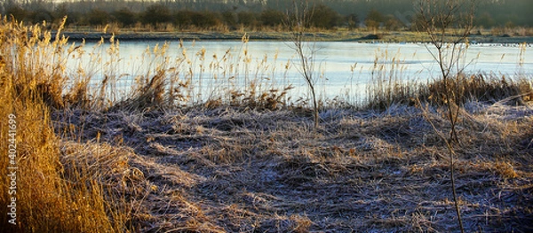 Obraz reeds on the river