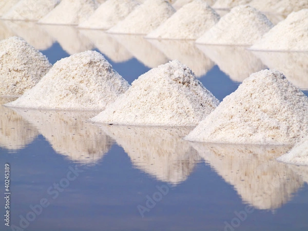 Obraz Salt pan
