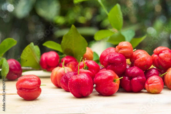 Obraz acerola cherries at garden