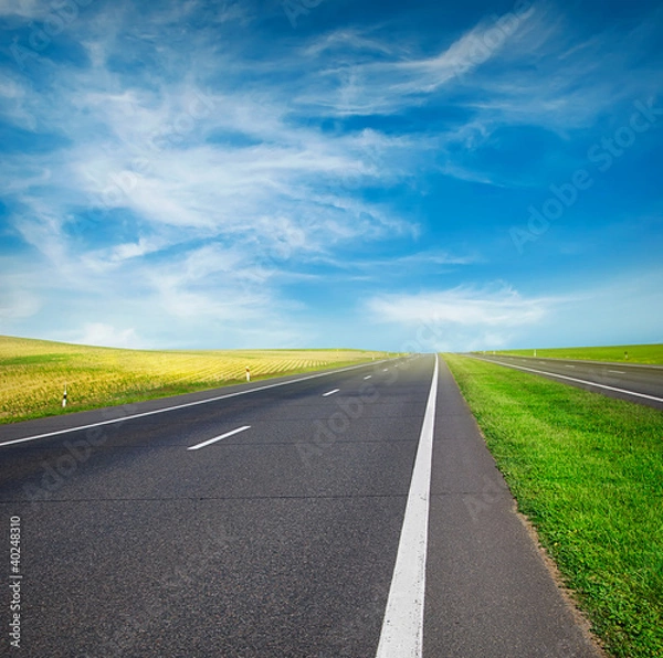 Obraz green field and road