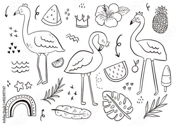 Obraz Cute flamingo doodle sticker outline. summer bird, watermelon, tropical drawing white background illustration