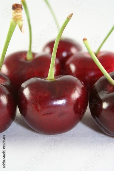 Fototapeta cherry on white