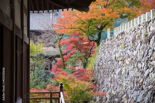 Obraz 秋の行基寺