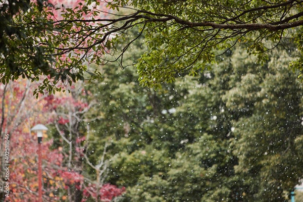 Fototapeta 雪が降る公園の風景