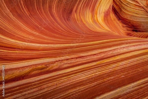 Fototapeta The Wave sandstone formation in Arizona
