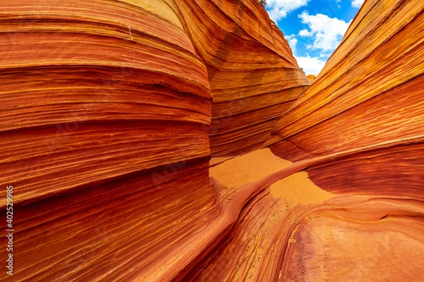 Obraz The Wave sandstone formation in Arizona