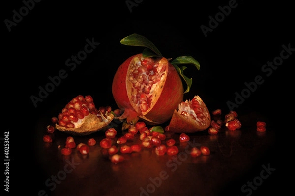 Obraz Pomegranate