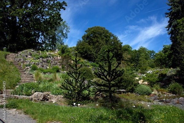 Fototapeta Andentanne