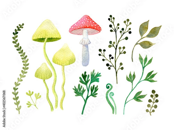 Fototapeta Watercolor set of magic mushrooms and green leaves isolated on a white background. Hand drawn illustration. Wild forest clip art: grass, fly agaric, branches, botanical decorative elements
