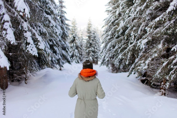 Obraz Winter landscape with person