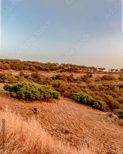 Obraz landscape and mountains during sunset