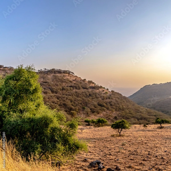 Obraz landscape with a tree during sunset