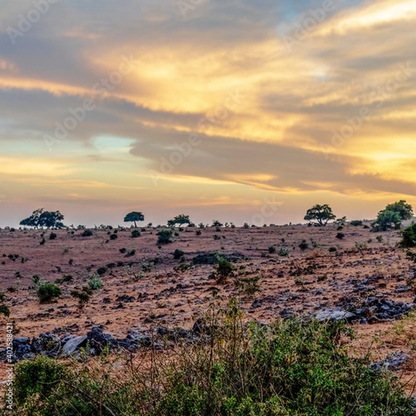 Obraz sunset over the desert