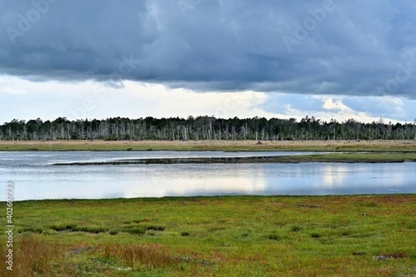 Fototapeta 風蓮湖春国岱の遊歩道からみた晩秋の情景＠北海道