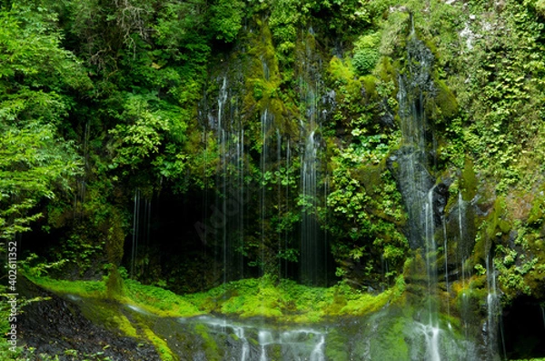 Fototapeta 不易の滝