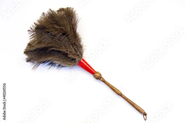 Obraz plumero fono clanco