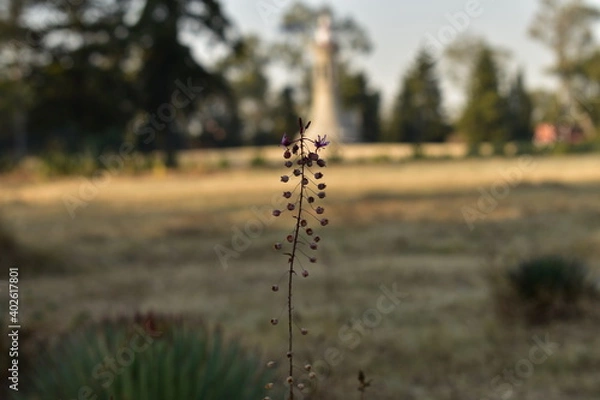 Obraz turbine in the grass
