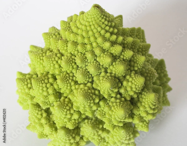Obraz romanesco cauliflower