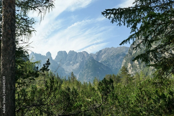 Fototapeta Panoramic view on the high Italian Dolomites peaks. There are dense pine trees in the front, distant mountain peaks are shrouded with a bit of haze and overgrown with small plants. Sunny day. Calmness