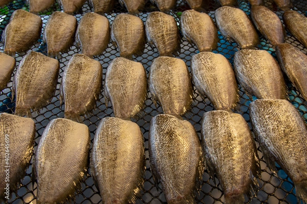 Obraz Dried Gourami