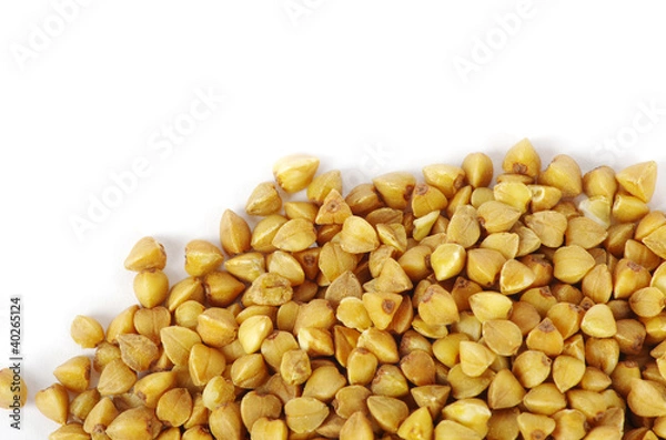 Fototapeta buckwheat