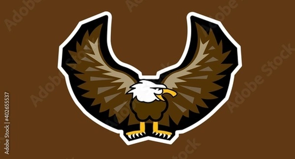 Fototapeta eagle illusration
