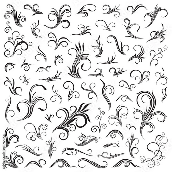 Fototapeta Floral patterns and elements