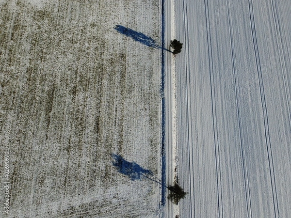 Fototapeta Aerial view of a snowy alley. Aerial view of a path leading through snow covered farmland.