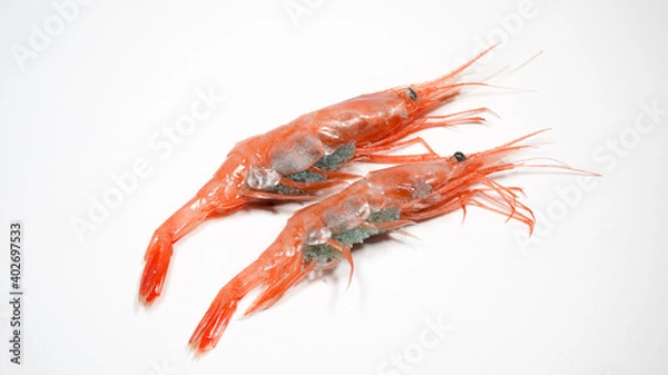 Obraz 新鮮な南蛮エビ