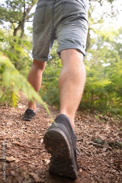 Obraz male hiking through the forest