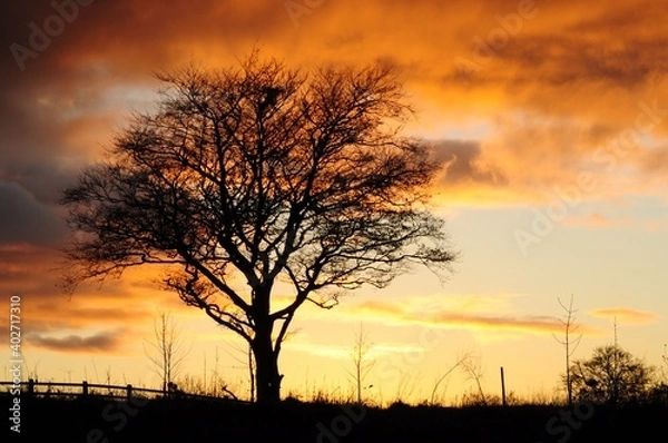 Obraz Burning sky II