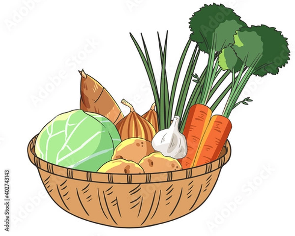 Obraz 春野菜セット