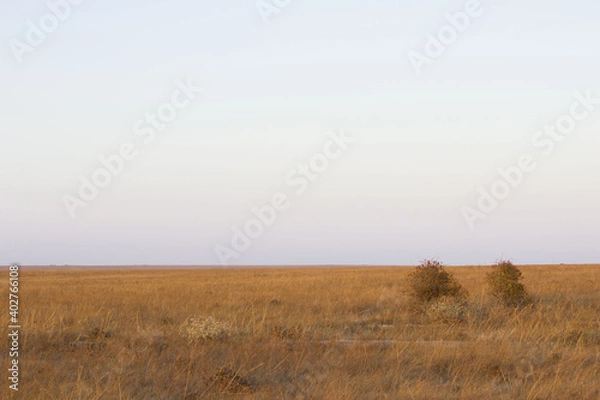 Fototapeta Autumn landscape steppe. prairie, veld, veldt. a large open area of grassland, open, uncultivated country or grassland