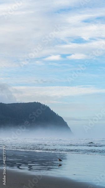 Fototapeta Coastline fog