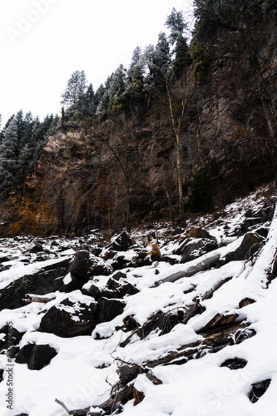 Obraz Snow covered rocks