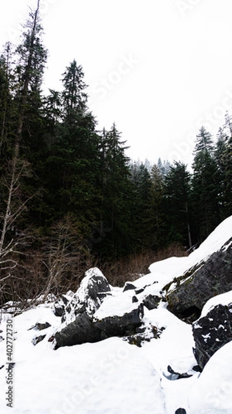Obraz Snowy cliffside