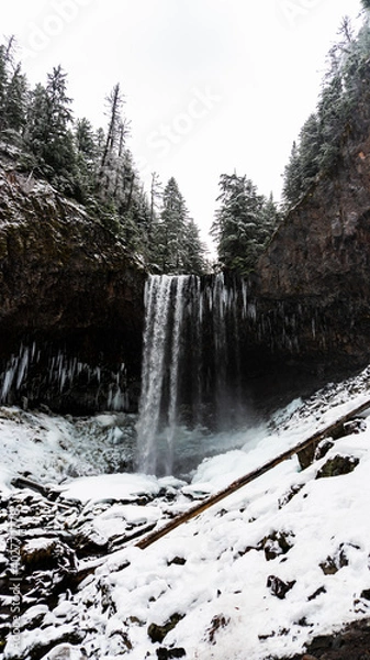 Obraz Waterfall in the winter