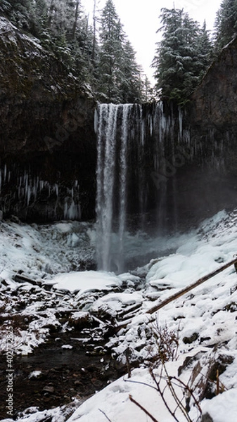 Obraz Snowy waterfall
