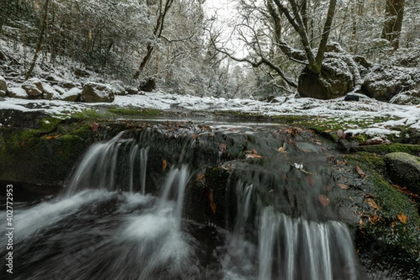 Obraz 冬の熊本　菊池渓谷　雪景色