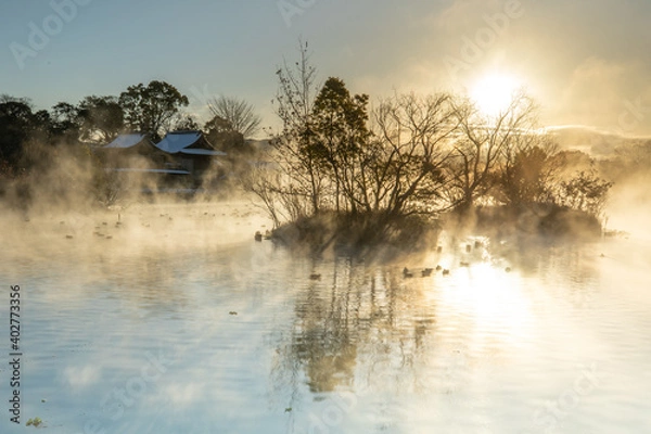 Obraz 冬の熊本　浮島神社