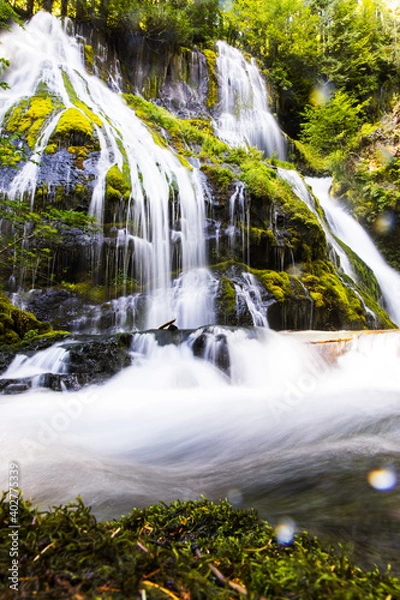 Obraz Waterfall in the mountains