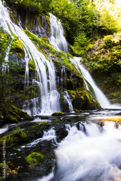 Obraz Waterfall in the mountains