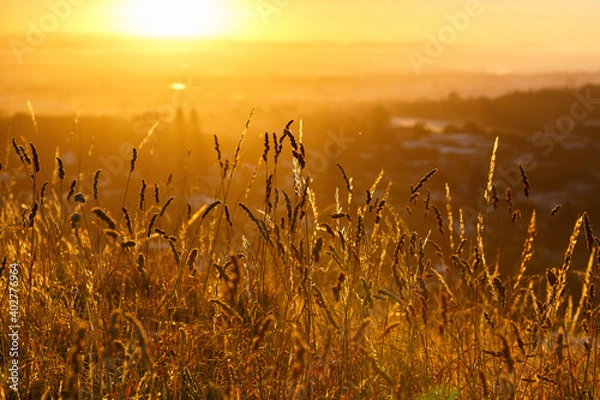Fototapeta Beautiful summer sunrise over fields