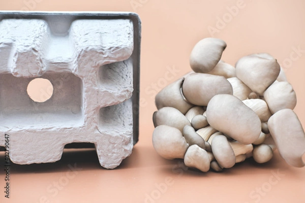 Fototapeta mushroom packaging solution, earth-friendly, home compostable packaging biodegradable and renewable material fully natural composite environmentally friendly alternative to plastic. up-cycling.