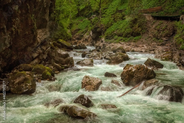 Fototapeta A wild river in the midst of impressive nature