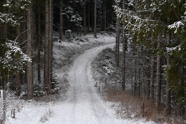 Obraz Bach, Fluss, Weg, Baum, Wald, Schwarzwald, 