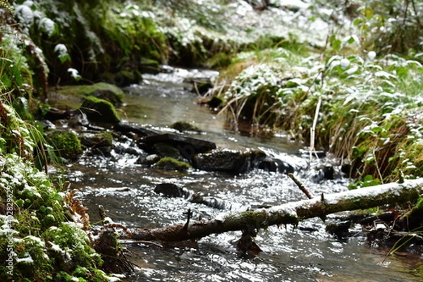 Obraz Bach, Fluss, Weg, Baum, Wald, Schwarzwald, 