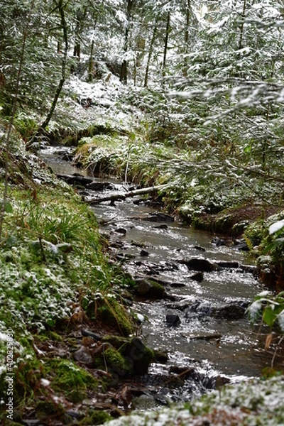 Obraz Bach, Fluss, Weg, Baum, Wald, Schwarzwald, 